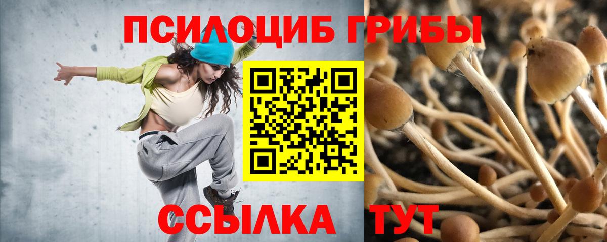 Галлюциногенные грибы мухоморы Советская Гавань