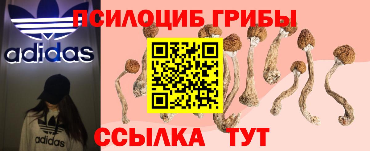 Советская Гавань  Галлюциногенные грибы мицелий  Вход с VPN 