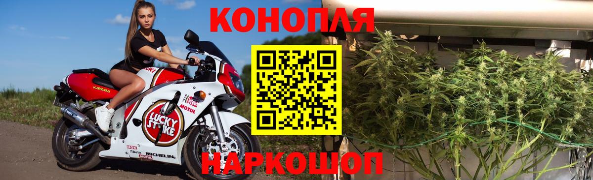 Канабис планчик Советская Гавань